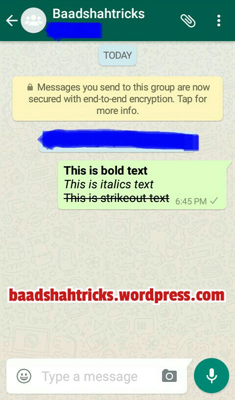 How To Send Stylized Text (Bold, Italics, Strikeout) on WhatsApp 
